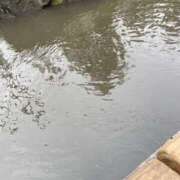 ヒメ日記 2026/09/07 10:13 投稿 板野(ｲﾀﾉ) 小山人妻城
