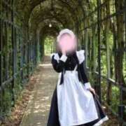 ヒメ日記 2025/12/27 10:59 投稿 高倉　せりな モデルコレクション 五反田店