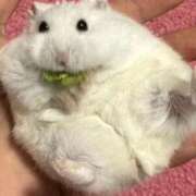 ヒメ日記 2025/12/10 10:16 投稿 りな 制服これくしょん