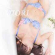 ヒメ日記 2025/12/23 09:33 投稿 白羽みおり LUXE(リュクス)