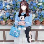ヒメ日記 2026/05/04 09:52 投稿 白羽みおり LUXE(リュクス)