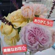 しゅり イベント☆ミ モアグループ神栖人妻花壇