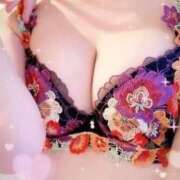 ヒメ日記 2025/12/10 03:15 投稿 ユズキ EN