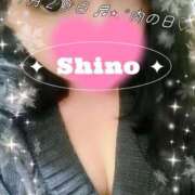 ヒメ日記 2025/11/29 23:58 投稿 しの ぷよラブ