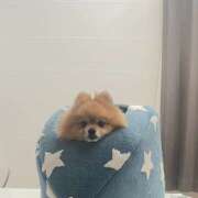 ヒメ日記 2026/01/14 15:11 投稿 にの エマニエル秋葉原