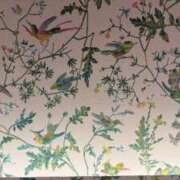 ヒメ日記 2026/01/27 15:56 投稿 しおん【説明不要の絶対美女】 La.qoo　富山店