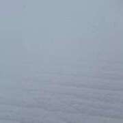 ヒメ日記 2026/01/29 18:56 投稿 しおん【説明不要の絶対美女】 La.qoo　富山店