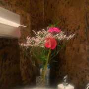 ヒメ日記 2026/02/19 20:26 投稿 しおん【説明不要の絶対美女】 La.qoo　富山店