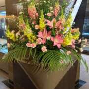 ヒメ日記 2026/03/24 21:46 投稿 しおん【説明不要の絶対美女】 La.qoo　富山店