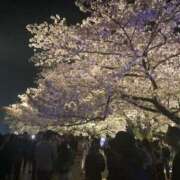 ヒメ日記 2026/04/01 21:32 投稿 榎本 さち Men's relaxation VEGA