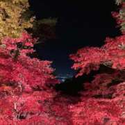 ヒメ日記 2025/12/03 16:29 投稿 こゆき サティアンまーと