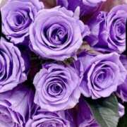 ヒメ日記 2026/01/11 12:59 投稿 森尾 純 こあくまな熟女たち 静岡店（KOAKUMAグループ）