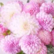 ヒメ日記 2026/01/24 09:40 投稿 森尾 純 こあくまな熟女たち 静岡店（KOAKUMAグループ）