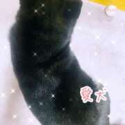 ヒメ日記 2026/01/31 09:43 投稿 森尾 純 こあくまな熟女たち 静岡店（KOAKUMAグループ）