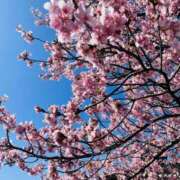 森尾 純 もうすぐ春ですね こあくまな熟女たち 静岡店（KOAKUMAグループ）