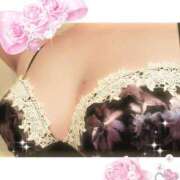 ヒメ日記 2026/03/15 09:40 投稿 森尾 純 こあくまな熟女たち 静岡店（KOAKUMAグループ）