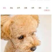 ヒメ日記 2026/01/21 08:40 投稿 黒桜えりか ホワイトハウス(曙町)