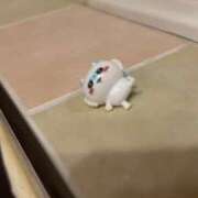 ヒメ日記 2025/11/28 11:52 投稿 HANON【サファイアランク】 アイドルオーディション