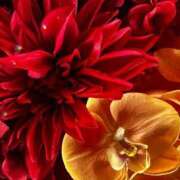 ヒメ日記 2026/03/10 09:22 投稿 【NH】あんな VERY（ヴェリィ)