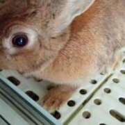 ヒメ日記 2025/12/14 14:10 投稿 らる One More奥様　町田相模原店