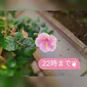 ヒメ日記 2026/01/31 15:18 投稿 らる One More奥様　町田相模原店