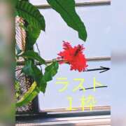 ヒメ日記 2026/01/31 21:30 投稿 らる One More奥様　町田相模原店