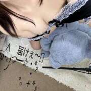 ヒメ日記 2025/12/16 03:26 投稿 みめい体験入店♪ 素人美少女専門　町田アンジェリーク（アンジェリークグループ）