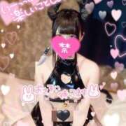 ヒメ日記 2026/04/11 00:46 投稿 みめい体験入店♪ 素人美少女専門　町田アンジェリーク（アンジェリークグループ）