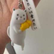 ヒメ日記 2026/03/15 14:06 投稿 サメ ぽっちゃり巨乳美女専門川越ちゃんこ