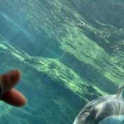 ヒメ日記 2026/04/24 15:08 投稿 サメ ぽっちゃり巨乳美女専門川越ちゃんこ