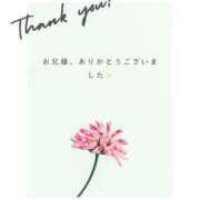 ヒメ日記 2025/11/28 09:32 投稿 日々野 ななみ 30代40代50代と遊ぶなら博多人妻専科24時