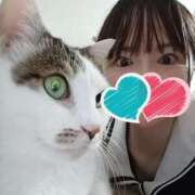 ヒメ日記 2025/11/28 11:51 投稿 あゆみ 新宿本店 ぽちゃカワ女子専門店