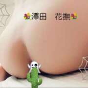 澤田花撫(さわだかなで) ヌレヌレ 五十路マダムエクスプレス厚木店(カサブランカグループ)