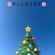 ヒメ日記 2025/12/07 10:12 投稿 澤田花撫(さわだかなで) 五十路マダムエクスプレス厚木店(カサブランカグループ)
