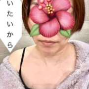 ヒメ日記 2025/12/26 09:06 投稿 澤田花撫(さわだかなで) 五十路マダムエクスプレス厚木店(カサブランカグループ)