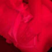 ヒメ日記 2026/02/17 14:35 投稿 めろ リッチドールパート2梅田店