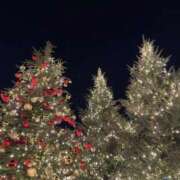 ヒメ日記 2025/12/23 21:17 投稿 れみ 大宮人妻デリヘル～大人の事情～