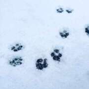 ヒメ日記 2026/02/08 22:57 投稿 れみ 大宮人妻デリヘル～大人の事情～