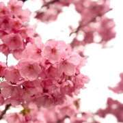 ヒメ日記 2026/03/19 08:19 投稿 れみ 大宮人妻デリヘル～大人の事情～