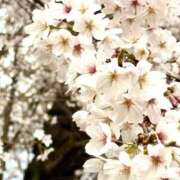 ヒメ日記 2026/03/28 09:10 投稿 れみ 大宮人妻デリヘル～大人の事情～