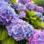 ヒメ日記 2026/06/20 10:05 投稿 れみ 大宮人妻デリヘル～大人の事情～