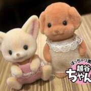 ヒメ日記 2026/07/19 01:04 投稿 あいな ぽっちゃり巨乳素人専門 埼玉越谷ちゃんこ
