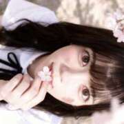 ヒメ日記 2026/04/18 15:09 投稿 Umi/うみ プロフィール姫路