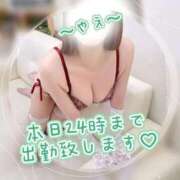 ヒメ日記 2025/11/29 08:47 投稿 やえ 人妻熟女の秘密の関係伊勢崎店