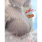 ヒメ日記 2026/01/26 10:17 投稿 やえ 人妻熟女の秘密の関係伊勢崎店