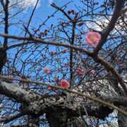 ヒメ日記 2026/02/05 15:04 投稿 りり 恋色 (コイイロ)