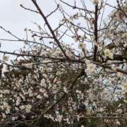 ヒメ日記 2026/03/07 16:00 投稿 りり 恋色 (コイイロ)