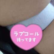 ヒメ日記 2025/12/14 22:25 投稿 つばき 福岡飯塚田川ちゃんこ