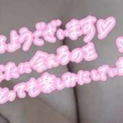 ヒメ日記 2025/12/15 08:05 投稿 つばき 福岡飯塚田川ちゃんこ