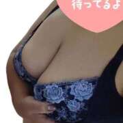 ヒメ日記 2025/12/28 12:18 投稿 つばき 福岡飯塚田川ちゃんこ